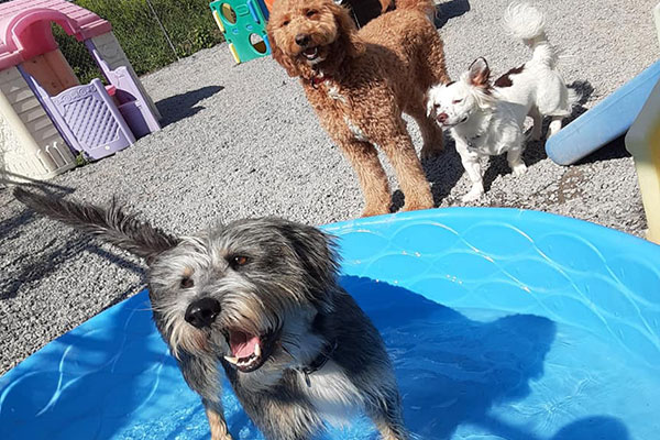 Daycare
